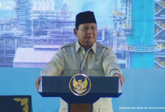 Pemerintah Segera Mulai Proyek Hilirisasi Senilai 6 Miliar Dolar AS