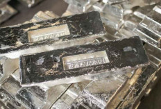 Permintaan Global Naik, Laba Bersih PT Timah Tbk Kuartal I 2025 Tembus Rp116,86 Miliar