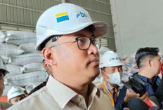 Wamentan Sebut Harga Beras Dunia Turun Gara-Gara Indonesia Tidak Impor Beras