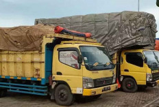 Apindo Minta Armada Usaha Tak Terdampak Pembatasan BBM Subsidi