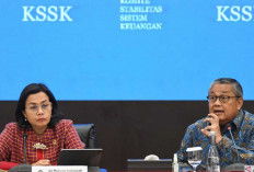 Harmonisasi Strategi Fiskal dan Moneter untuk Ketahanan Ekonomi