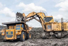 Bea Keluar Batu Bara 2026 Berpotensi Tambah Penerimaan Negara Rp19 Triliun