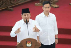 Peneliti Sebut Kabinet Gemuk Prabowo-Gibran Berpotensi Bebani Anggaran Hingga Rp1,95 Triliun