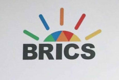 Anggota BRICS, Babak Baru Diplomasi Ekonomi Indonesia