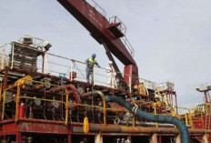 Harga Referensi CPO Juni 2025 Turun Jadi 856,38 USD per Ton, Ini Penyebabnya