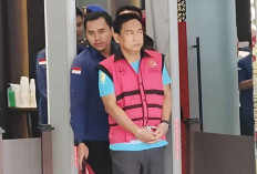 Memulihkan Ombudsman, Menjaga Pelayanan Publik