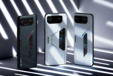 Raja HP Gaming Akhirnya Menyerah, Pastikan Tak Rilis Ponsel Baru 2026