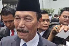 Luhut Komitmen Bantu Digitalisasi Sistem Ekonomi Lewat Dewan Ekonomi Nasional