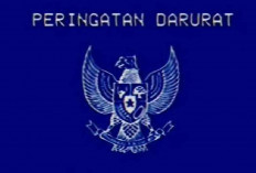 Masyarakat Protes Revisi UU Pilkada: Gambar 'Peringatan Darurat' Jadi Simbol Kekecewaan