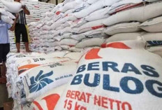 Kendalikan Harga Beras Hadapi El Nino, Bulog Gelontorkan 300 Ribu Ton Beras Premium