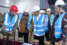 Langkah Awal Hilirisasi Indonesia, Presiden Jokowi Larang Ekspor Nikel