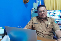 Realisasi Retribusi PAD Tiket Masuk Tanjungpendam Belitung Capai Rp 1,4 Miliar