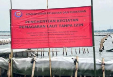 Pelanggaran Pemanfaatan Ruang Laut, PT TRPN Terancam Sanksi dari KKP