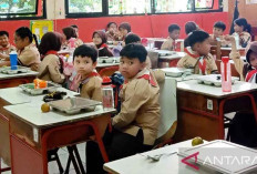 Program Makan Bergizi Gratis Buka 90 Ribu Lapangan Kerja Baru