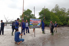 Polres Belitung dan Polda Babel Tertibkan Tambang Ilegal di Laut Dusun Ulim Desa Lassar
