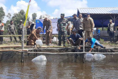 Desa di Beltim Mulai Bangun Ketahanan Pangan, Dinas Pertanian Siap Bantu 