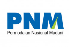 Urgensi Transformasi PNM Jadi Bank UMKM, Jawaban atas Tantangan Sektor Riil