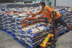 Pemerintah Pastikan Stok Pangan Aman Sambut Imlek dan Lebaran 2025