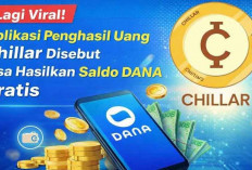 Lagi Viral! Aplikasi Penghasil Uang Chillar Disebut Bisa Hasilkan Saldo DANA Gratis Lewat Tugas Mudah