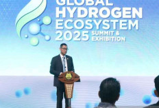 PLN dan Kemenhub Kembangkan Transportasi Laut Ramah Lingkungan Berbasis Hidrogen Hijau