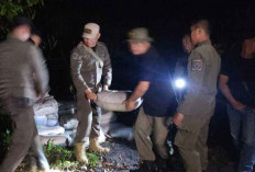 Razia Penambangan Ilegal di Pantai Tanjung Langka, Tim Gabungan Temukan Sebanyak 43 Karung Timah