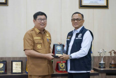 Pemkab Beltim Siapkan Pembentukan BNN Kabupaten, Perkuat Pencegahan Narkoba