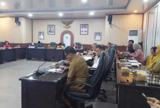 Kasus Kekerasan Perempuan Tembus 339 Ribu, Babel Kebut Perda Perlindungan yang Lebih Kuat