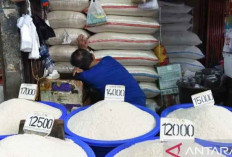 Indef: Oplosan Beras Subsidi Ancam Stabilitas Sosial