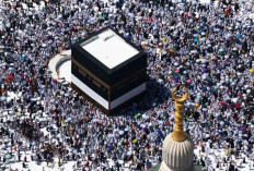 Visa Haji Furoda 2025 Resmi Ditutup, Ini Imbauan AMPHURI untuk Calon Jemaah