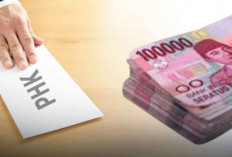 PHK Industri Media Meningkat, Ignatius Haryanto Beberkan 3 Akar Masalah