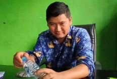 Kasus Perambahan Hutan, Kepala KPH Diperiksa Kejati Babel Bersama Bos Tambang