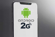 Google Keluarkan Seruan Penting Matikan Jaringan 2G, Alasan Pengguna Android Wajib Tahu Resikonya