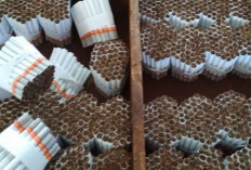 Petani Tembakau dan Cengkeh Minta Pemerintah Kaji Ulang Aturan Kemasan Rokok