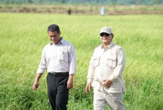 Beras Oplosan Rugikan Negara Rp100 T, Prabowo Minta Jaksa Agung dan Kapolri Usut Tuntas