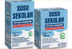 BGN Akui Kewalahan Penuhi Kebutuhan Susu Program MBG, Pasokan Dalam Negeri Belum Mencukupi