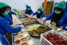 BGN: Lapangan Kerja dari Program MBG Tembus 897 Ribu Orang