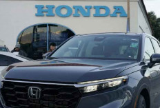 Dua Raksasa Otomotif Jepang Honda dan Nissan Targetkan Merger pada Juni 2025