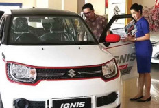 Suzuki Menghentikan Penjualan Ignis di Indonesia, Fokus pada Mobil Hybrid