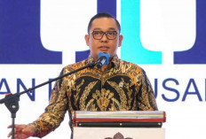 Wamen Investasi Sebut 3 Juta NIB Terbit dalam Setahun, Tanda Ekonomi Tumbuh