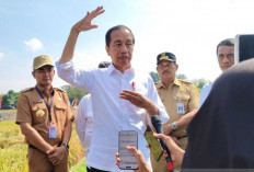 Tegas! Ini Tanggapan Presiden Jokowi Soal Bansos untuk Korban Judi Online