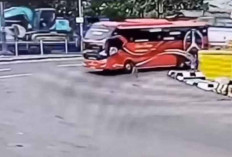 Asyik Berburu Klakson Telolet, Bocah Tewas Terlindas Bus Viral di Medsos