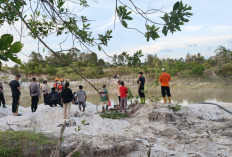 Penambang Diterkam Buaya Kolong Cerucuk, Mandi Sore Berujung Maut