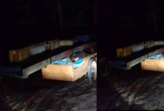 Tambang Timah Ilegal di Juru Seberang Kembali Beroperasi Meski Baru Dirazia Polisi