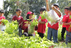 Babel Galakkan Gemar Makan Sayur Tekan Stunting