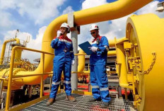 Dukung NZE 2060, PGN Gandeng PTBA Kembangkan Gas Sintetis dari Batu Bara