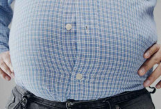 Pria Perut Buncit Wajib Waspada, Pakar UGM Ungkap Dampak Fatalnya