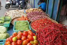 Tingginya Harga Barang jadi Penyebab Rendahnya Daya Beli Masyarakat