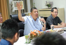 Babel Menuju Sentra Kelapa Nasional: Investasi Rp1 Triliun, Butuh 1 Juta Pekerja