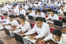 Peluang Lolos Seleksi CPNS 2026 Lebih Besar, 15 Kementerian dan Lembaga Ini Sepi Peminat