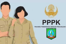 Pemkab Beltim Buka Rekrutmen PPPK 2024, Total Ada 1.358 Formasi